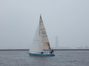 RIMG2123.jpg