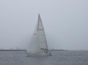 RIMG2124.jpg