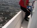 DSCF3529.jpg