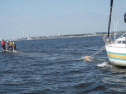 DSCF3634.jpg