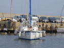 RIMG1442.jpg