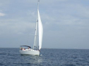 RIMG1446.jpg