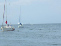 RIMG1456.jpg