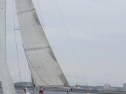 RIMG1475.jpg