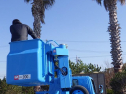 RIMG2766.jpg