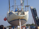 RIMG2198.jpg