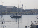 RIMG2218.jpg