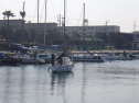 RIMG2256.jpg