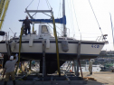RIMG2280.jpg
