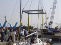 RIMG2317.jpg
