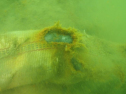 2P065870.jpg