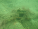 2P065891.jpg