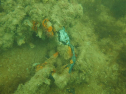 P1069144.jpg