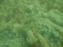 P1069150.jpg