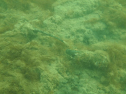 P1069151.jpg