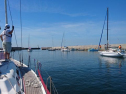 DSC_1354.jpg