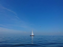DSC_1359.jpg