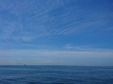 DSC_1361.jpg
