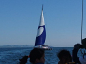 DSC_1384.jpg