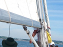 DSC_1386.jpg