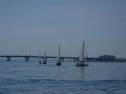 IMG_0240.jpg