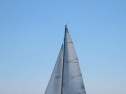 IMG_0260.jpg