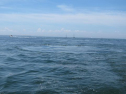 IMG_0290.jpg
