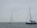 RIMG2481.jpg