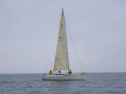 RIMG2483.jpg