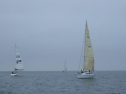 RIMG2487.jpg