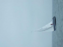 RIMG2488.jpg