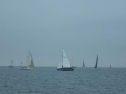 RIMG2489.jpg