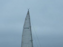 RIMG2491.jpg