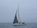 RIMG2492.jpg