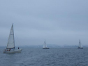 RIMG2493.jpg