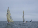 RIMG2497.jpg