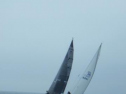 RIMG2499.jpg