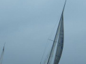 RIMG2506.jpg