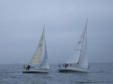 RIMG2507.jpg