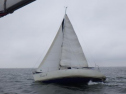 RIMG2514.jpg