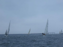 RIMG2516.jpg