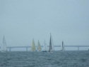RIMG2522.jpg