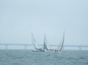 RIMG2527.jpg