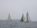 RIMG2528.jpg