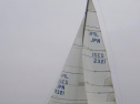 RIMG2530.jpg
