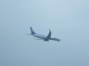 RIMG2535.jpg