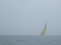 RIMG2536.jpg