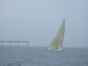 RIMG2537.jpg
