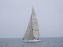 RIMG2539.jpg