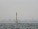 RIMG2541.jpg